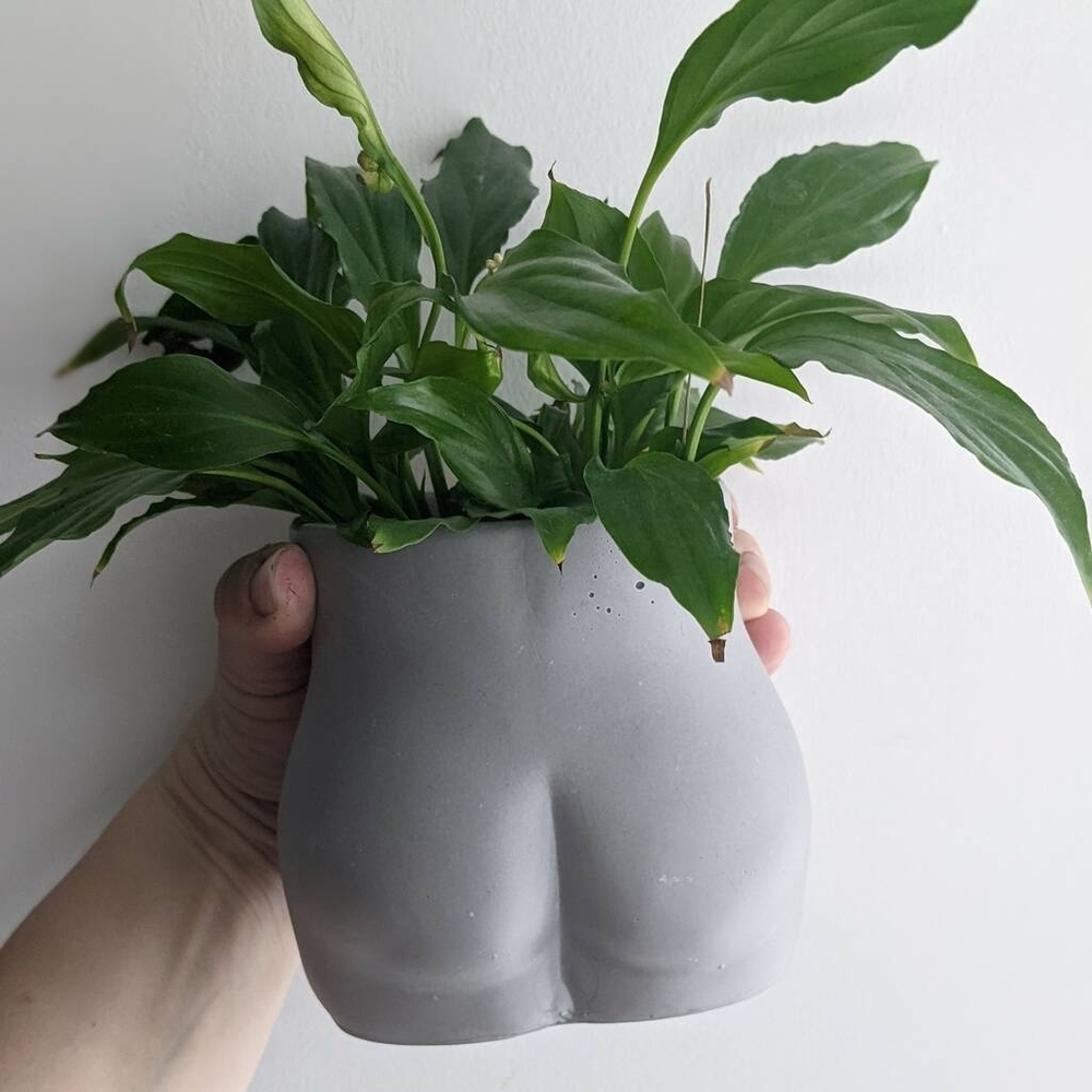 BOOTY VASE - Picture 7 of 15